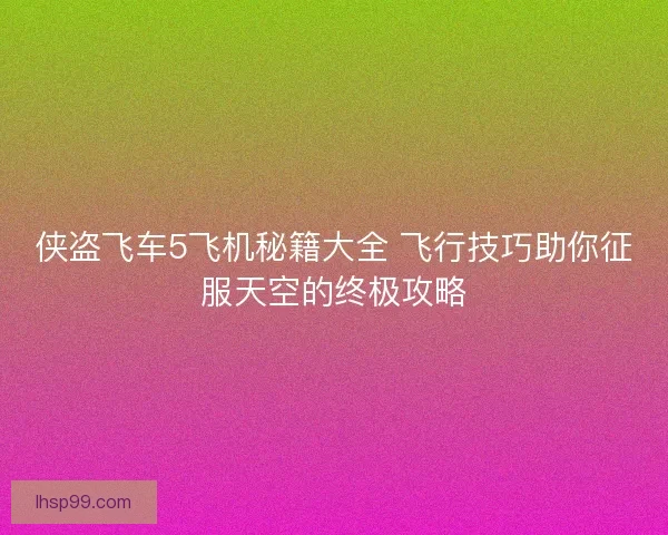 侠盗飞车5飞机秘籍大全 飞行技巧助你征服天空的终极攻略